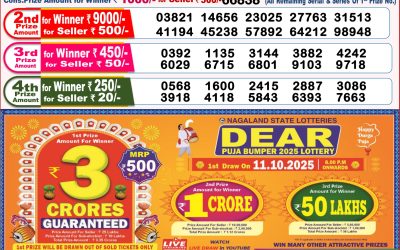Dear Toucan Sunday Weekly Lottery 28.09.25 8pm Result