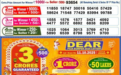 Dear Comet Tuesday Weekly Lottery 30.09.25 6pm Result