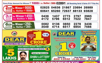 Dear Seagull Friday Weekly Lottery 26.09.25 8pm Result