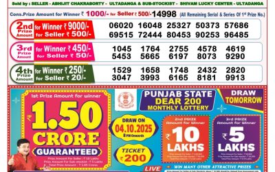 Dear Seagull Friday Weekly Lottery 03.10.25 8pm Result