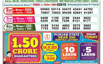 Dear Narmada Saturday Weekly Lottery 04.10.25 1pm Result