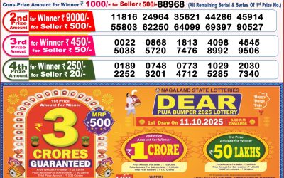 Dear Toucan Sunday Weekly Lottery 05.10.25 8pm Result