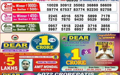 Dear Finch Monday Weekly Lottery 06.10.25 8pm Result