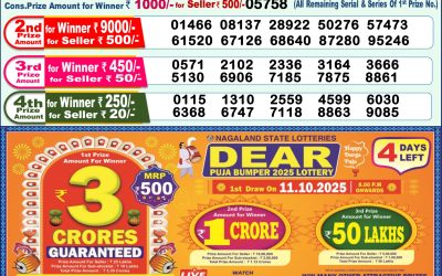 Dear Godavari Tuesday Weekly Lottery 07.10.25 1pm Result