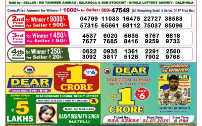 Dear Goose Tuesday Weekly Lottery 07.10.25 8pm Result