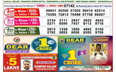 Dear Pelican Wednesday Weekly Lottery 08.10.25 8pm Result
