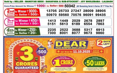 Dear Sandpiper Thursday Weekly Lottery 09.10.25 8pm Result
