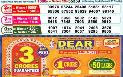 Dear Meghna Friday Weekly Lottery 10.10.25 1pm Result