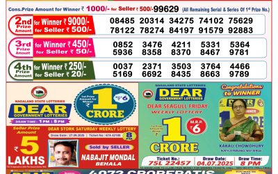 Dear Seagull Friday Weekly Lottery 10.10.25 8pm Result