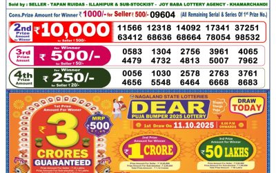 Dear Elite Saturday Weekly Lottery 11.10.25 6pm Result