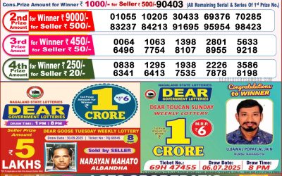 Dear Stork Saturday Weekly Lottery 11.10.25 8pm Result