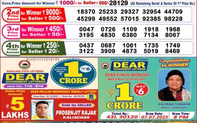 Dear Toucan Sunday Weekly Lottery 12.10.25 8pm Result