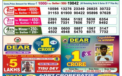 Dear Yamuna Sunday Weekly Lottery 26.10.25 1pm Result