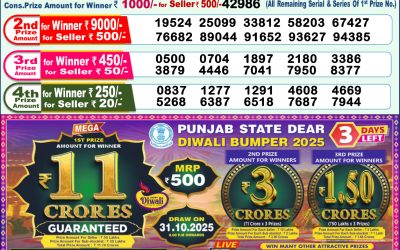 Dear Godavari Tuesday Weekly Lottery 28.10.25 1pm Result