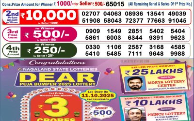 Dear Empire Sunday Weekly Lottery 12.10.25 6pm Result