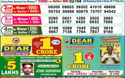 Dear Narmada Saturday Weekly Lottery 11.10.25 1pm Result