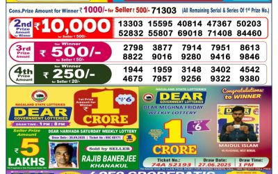 Dear Elite Saturday Weekly Lottery 04.10.25 6pm Result
