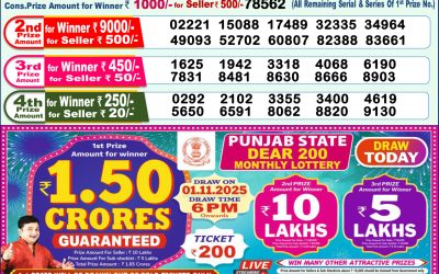 Dear Narmada Saturday Weekly Lottery 01.11.25 1pm Result