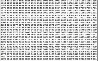 Punjab State Dear 50 Sunday Weekly Lottery 02.11.25 6pm Result