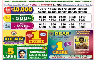 Dear Destiny Tuesday Weekly Lottery 04.11.25 8pm Result