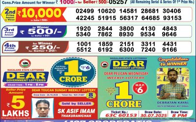 Dear Victory Friday Weekly Lottery 07.11.25 1pm Result