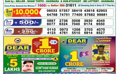 Dear Vision Saturday Weekly Lottery 08.11.25 1pm Result
