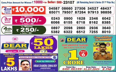 Dear Elite Saturday Weekly Lottery 08.11.25 6pm Result