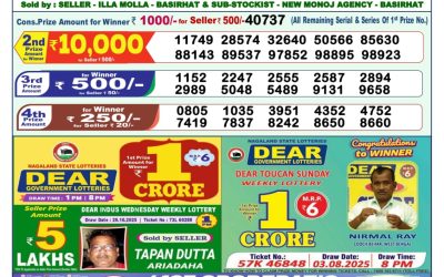 Dear Wish Sunday Weekly Lottery 09.11.25 1pm Result