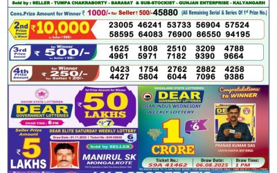 Dear Shine Tuesday Weekly Lottery 11.11.25 1pm Result