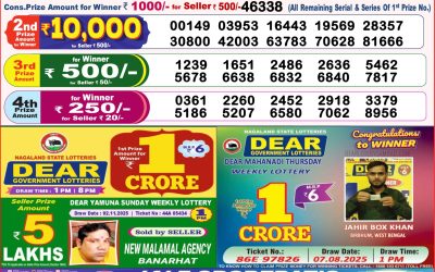 Dear Destiny Tuesday Weekly Lottery 11.11.25 8pm Result
