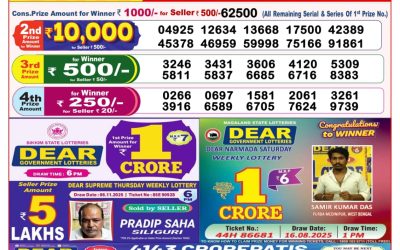 Dear Horizon Friday Weekly Lottery 14.11.25 8pm Result