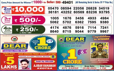 Dear Empire Sunday Weekly Lottery 16.11.25 6pm Result