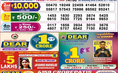 Dear Destiny Tuesday Weekly Lottery 18.11.25 8pm Result