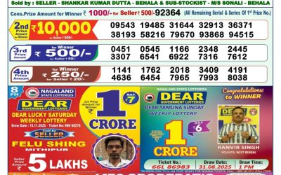 Dear Vision Saturday Weekly Lottery 22.11.25 1pm Result