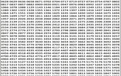 Punjab State Dear 50 Jackal Saturday Weekly Lottery 22.11.25 6pm Result