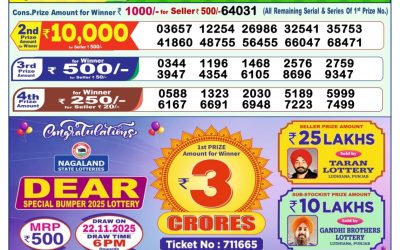 Dear Wish Sunday Weekly Lottery 23.11.25 1pm Result