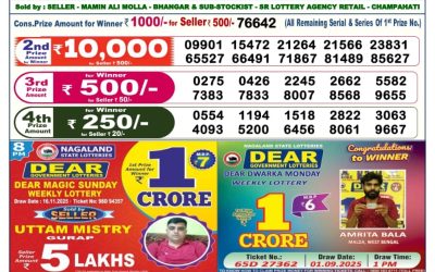 Dear Empire Sunday Weekly Lottery 23.11.25 6pm Result