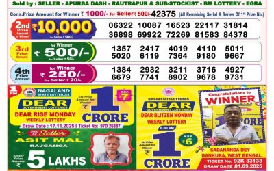 Dear Magic Sunday Weekly Lottery 23.11.25 8pm Result