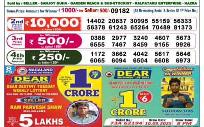 Dear Elite Saturday Weekly Lottery 29.11.25 6pm Result