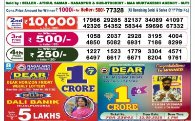 Dear Empire Sunday Weekly Lottery 30.11.25 6pm Result