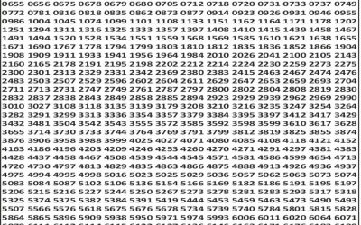 Punjab State Dear 50 Bronco Lottery 04.11.25 6pm Result