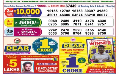 Dear Horizon Friday Weekly Lottery 07.11.25 8pm Result