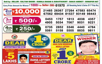 Dear Prestige Tuesday Weekly Lottery 11.11.25 6pm Result