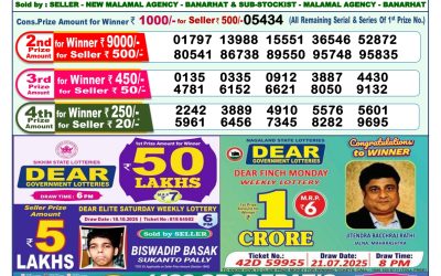 Dear Yamuna Sunday Weekly Lottery 02.11.25 1pm Result
