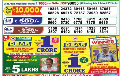 Dear Shine Tuesday Weekly Lottery 02.12.25 1pm Result