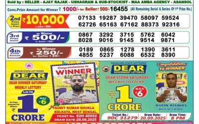 Dear Vision Saturday Weekly Lottery 06.12.25 1pm Result