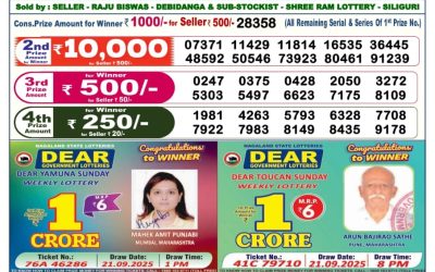 Dear Elite Saturday Weekly Lottery 06.12.25 6pm Result