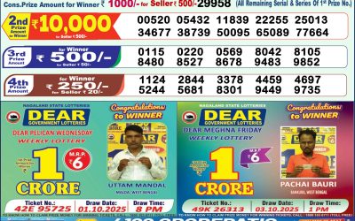 Dear Vision Saturday Weekly Lottery 13.12.25 1pm Result