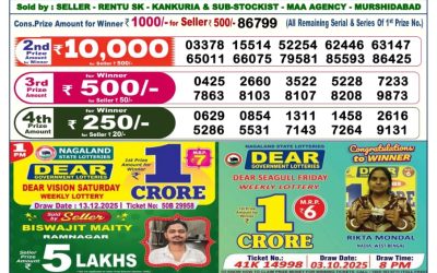 Dear Elite Saturday Weekly Lottery 13.12.25 6pm Result