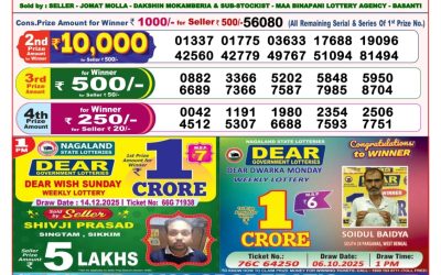 Dear Magic Sunday Weekly Lottery 14.12.25 8pm Result